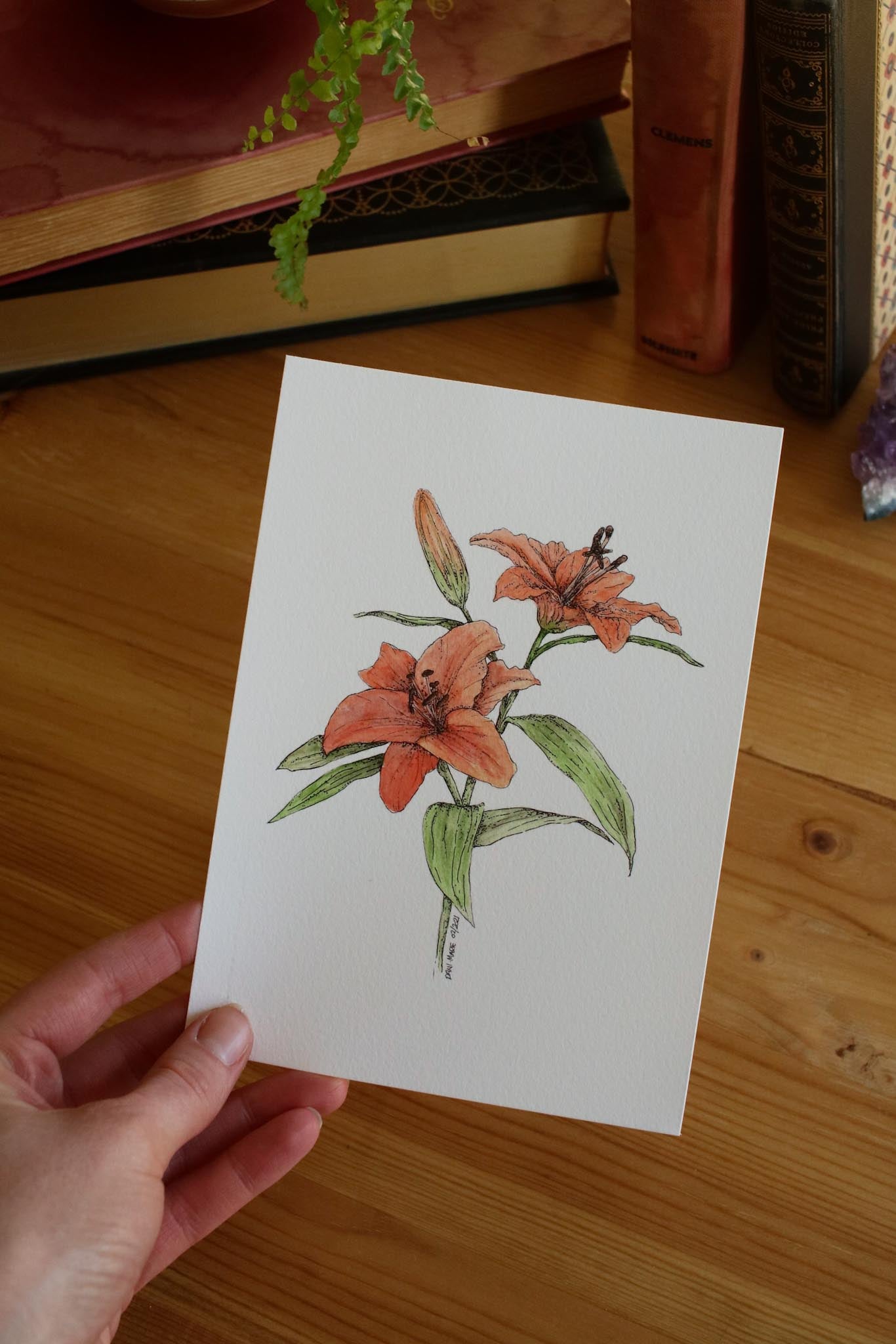 Tiger Lillies