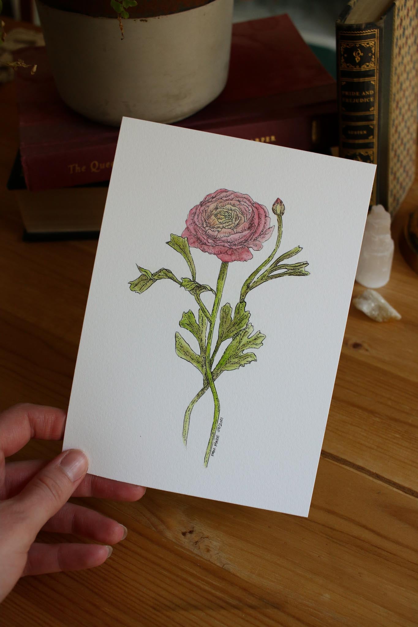 Ranunculus