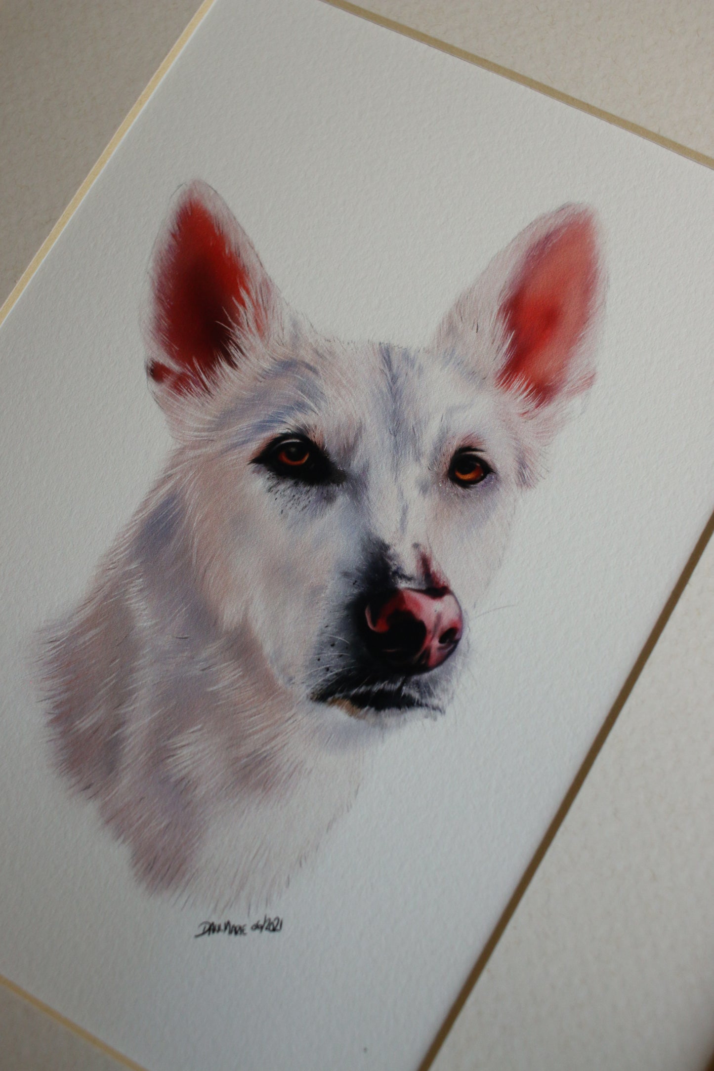 Pet Portrait - 8x10 Digital Painting