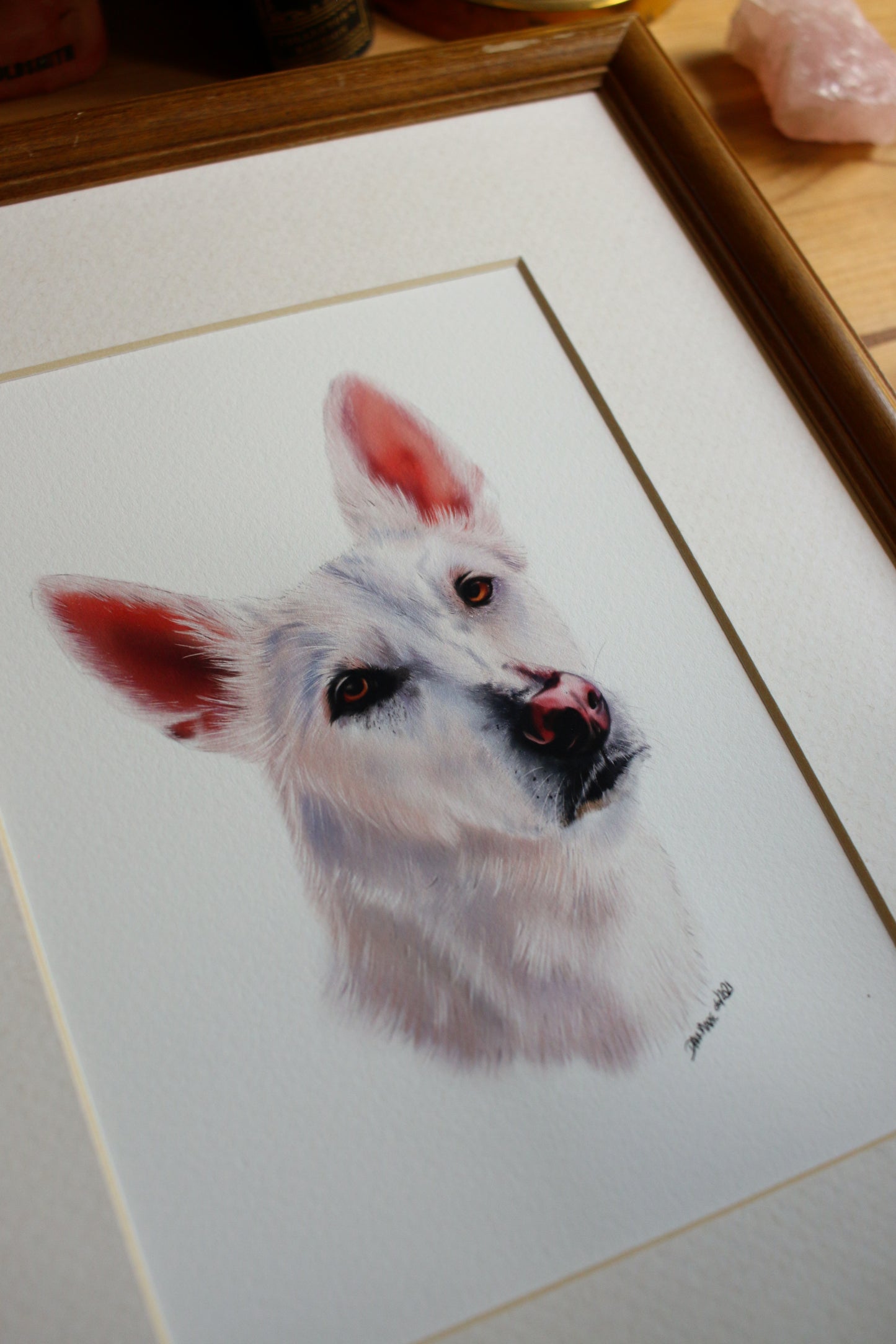 Pet Portrait - 8x10 Digital Painting