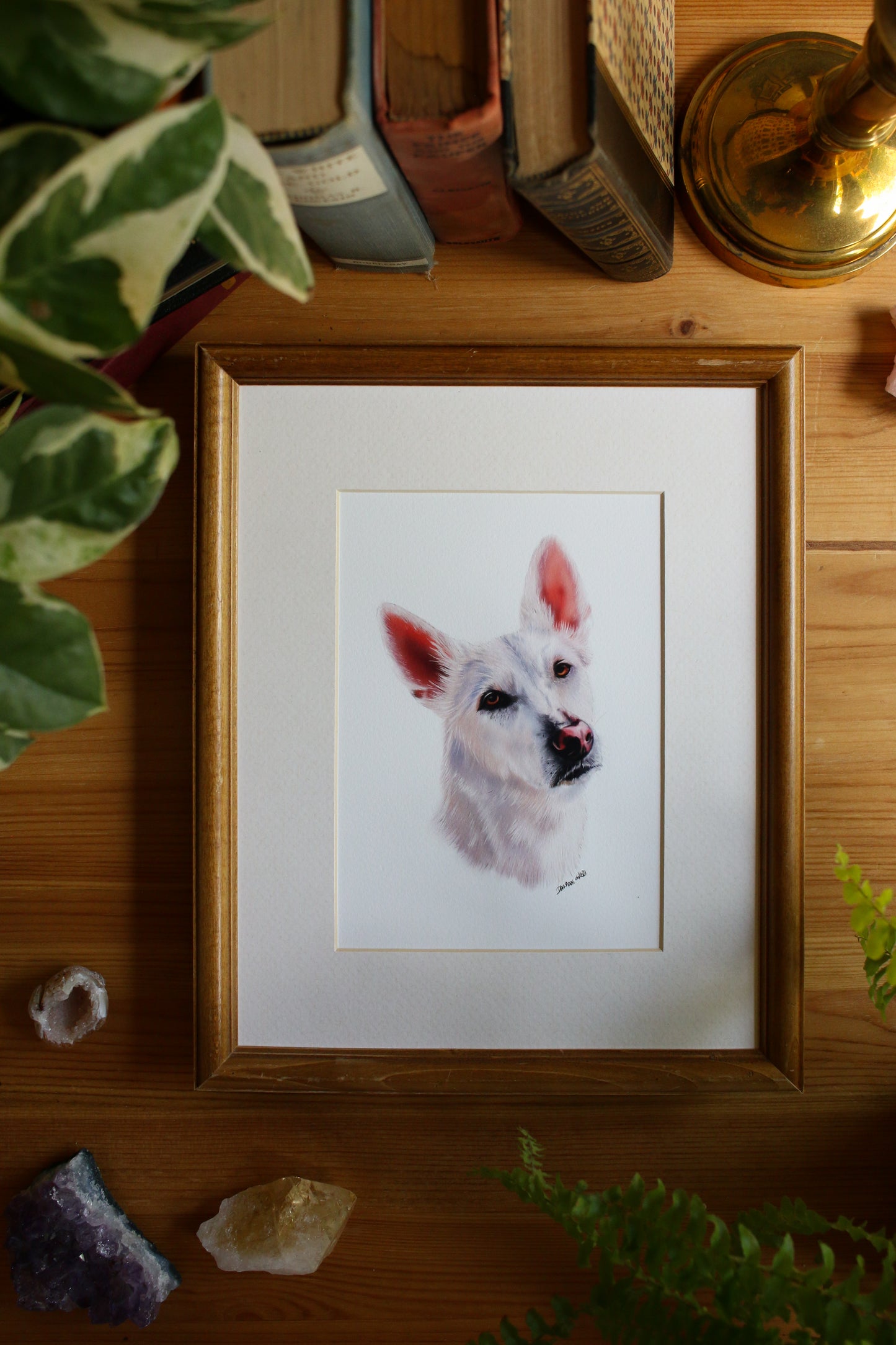 Pet Portrait - 8x10 Digital Painting