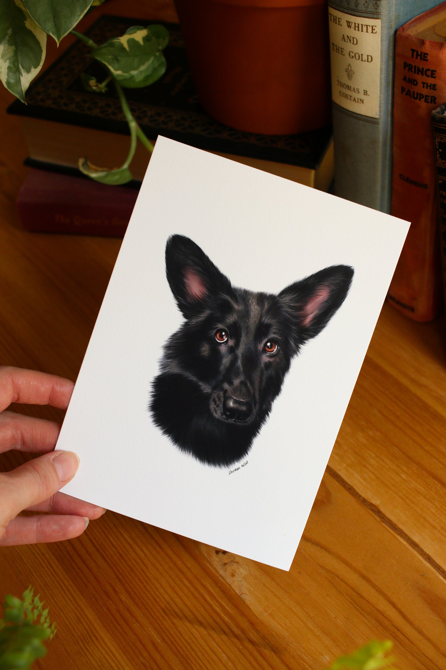 Pet Portrait - 8x10 Digital Painting