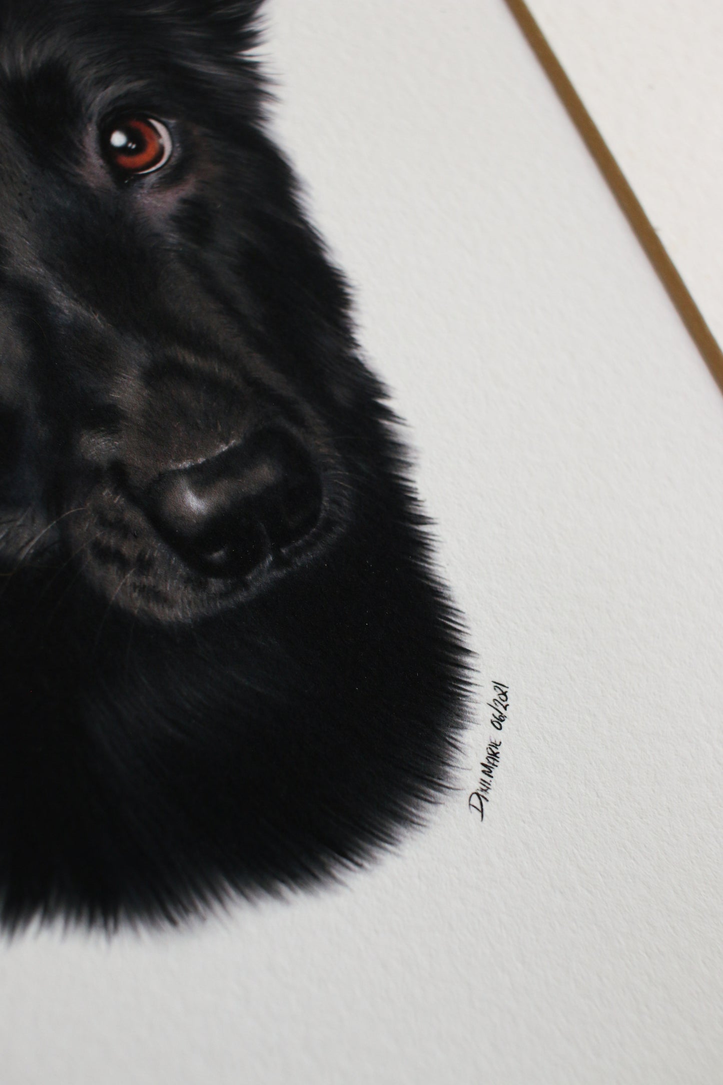 Pet Portrait - 8x10 Digital Painting