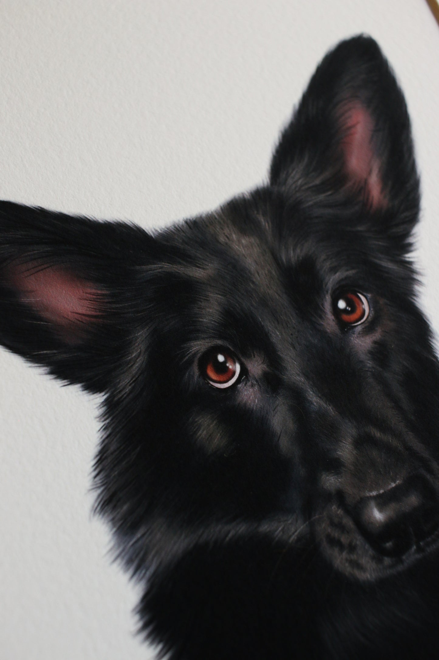 Pet Portrait - 8x10 Digital Painting