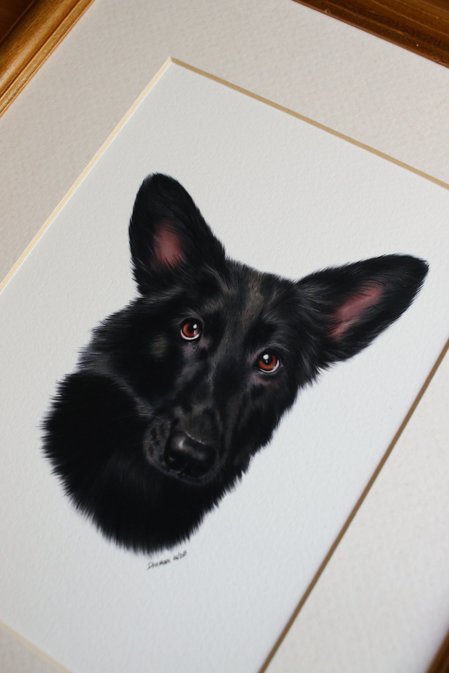 Pet Portrait - 8x10 Digital Painting