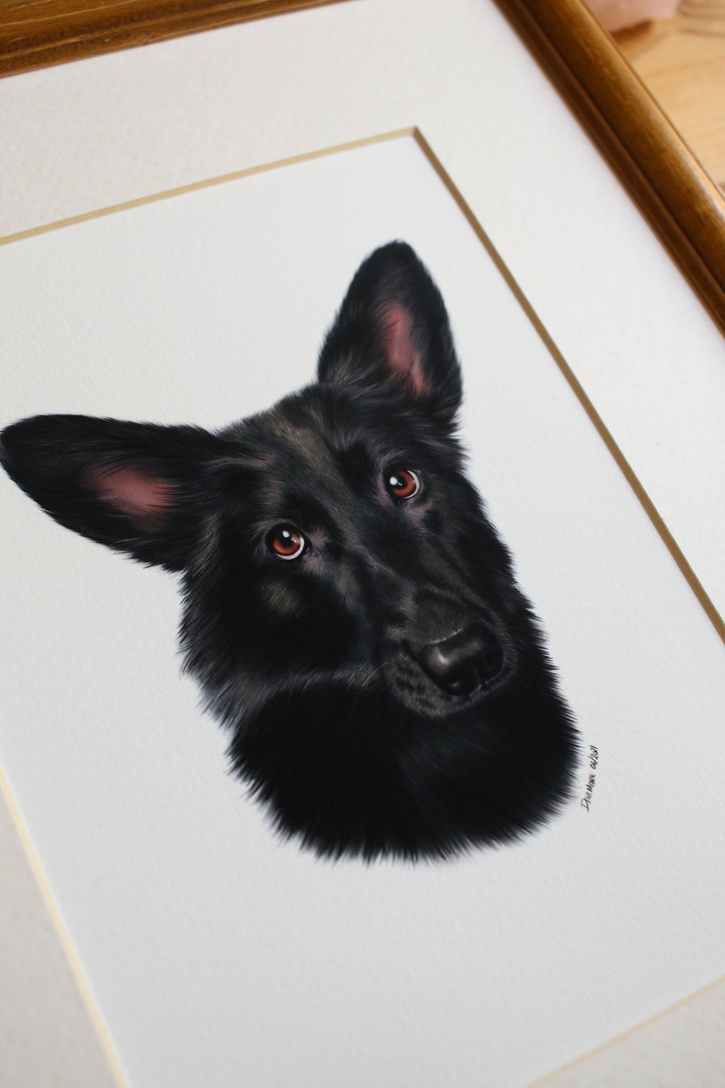 Pet Portrait - 8x10 Digital Painting