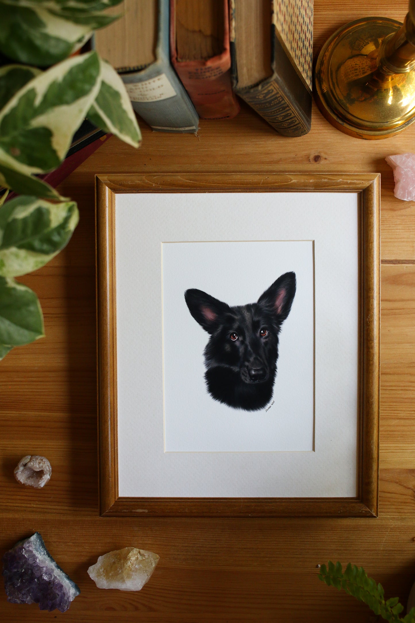 Pet Portrait - 8x10 Digital Painting