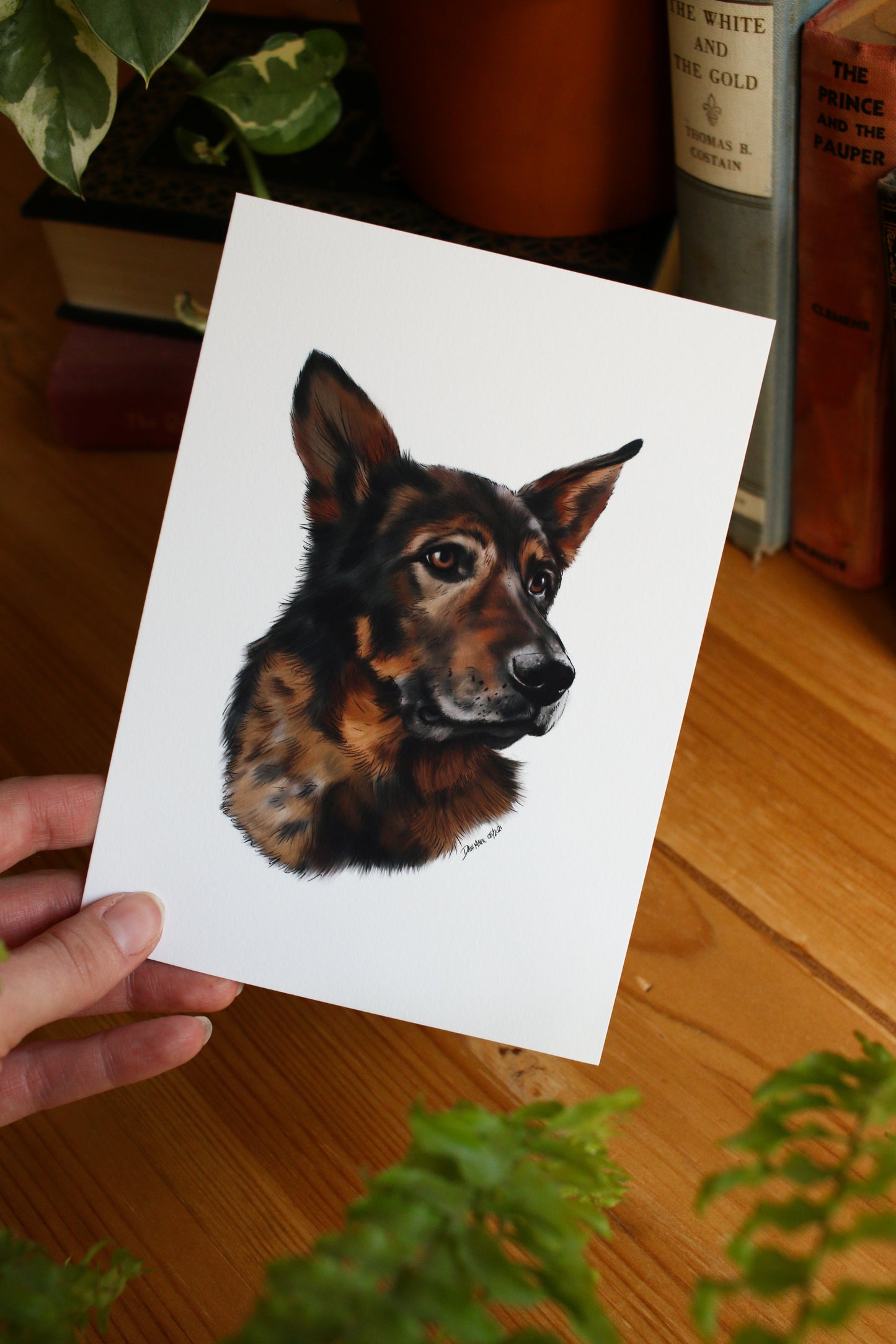 Pet Portrait - 8x10 Digital Painting