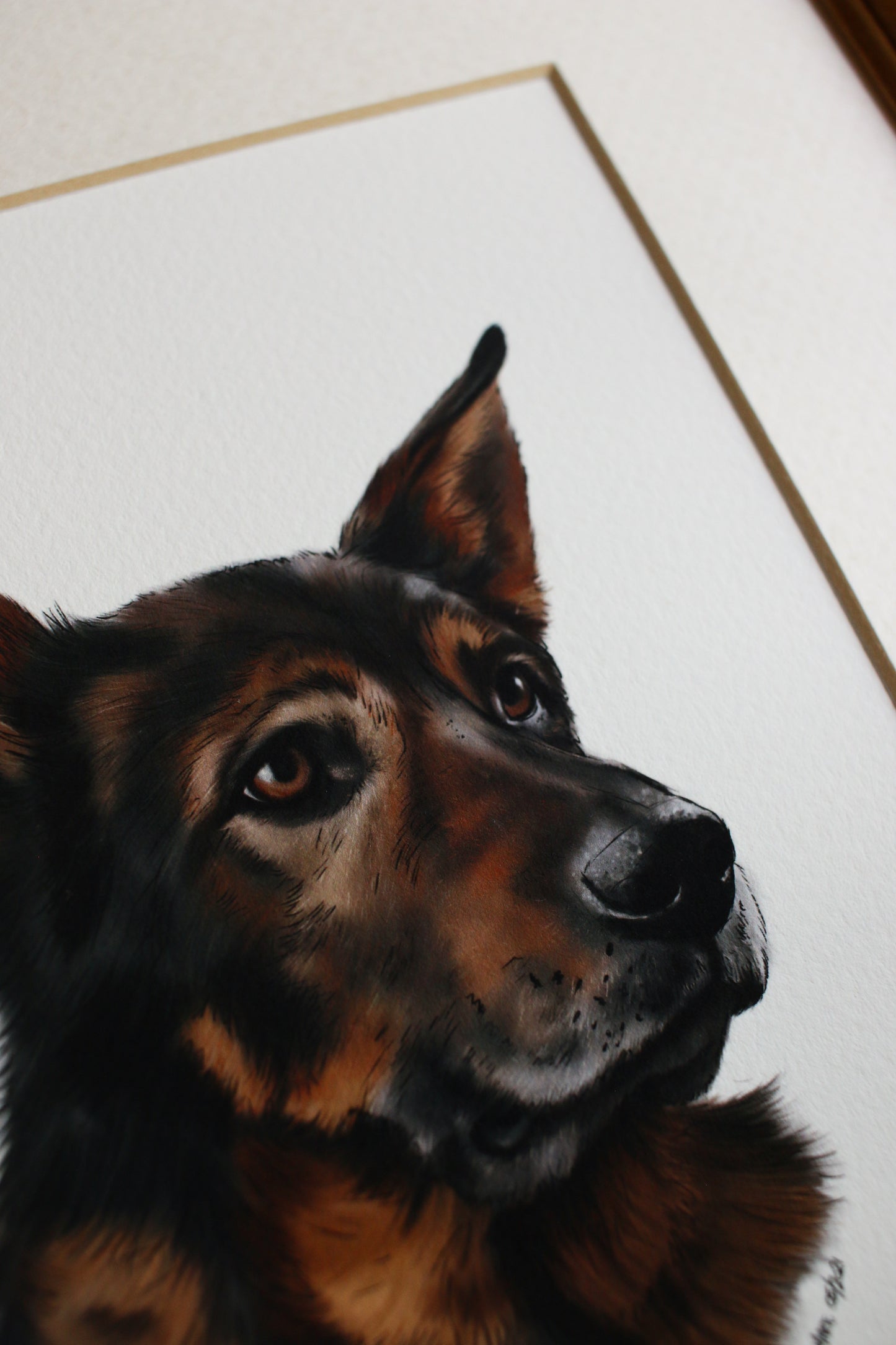 Pet Portrait - 8x10 Digital Painting