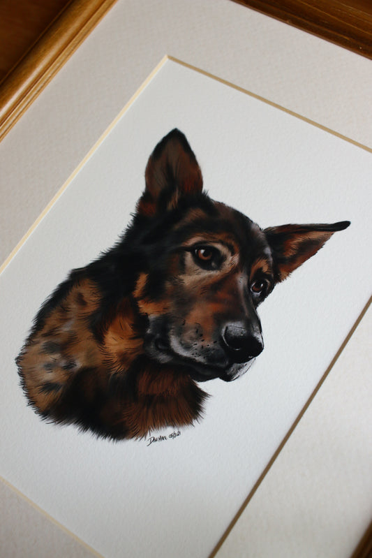 Pet Portrait - 8x10 Digital Painting