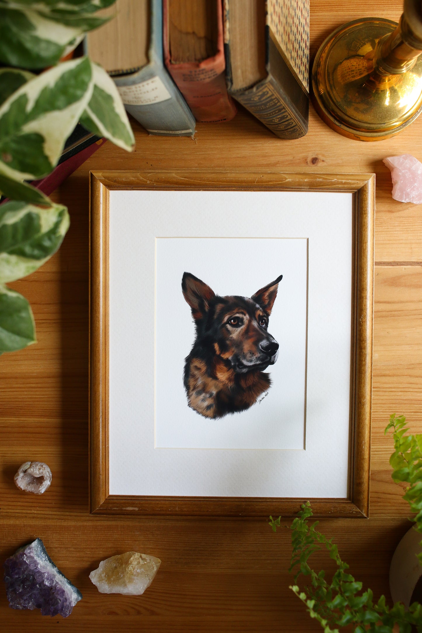 Pet Portrait - 8x10 Digital Painting