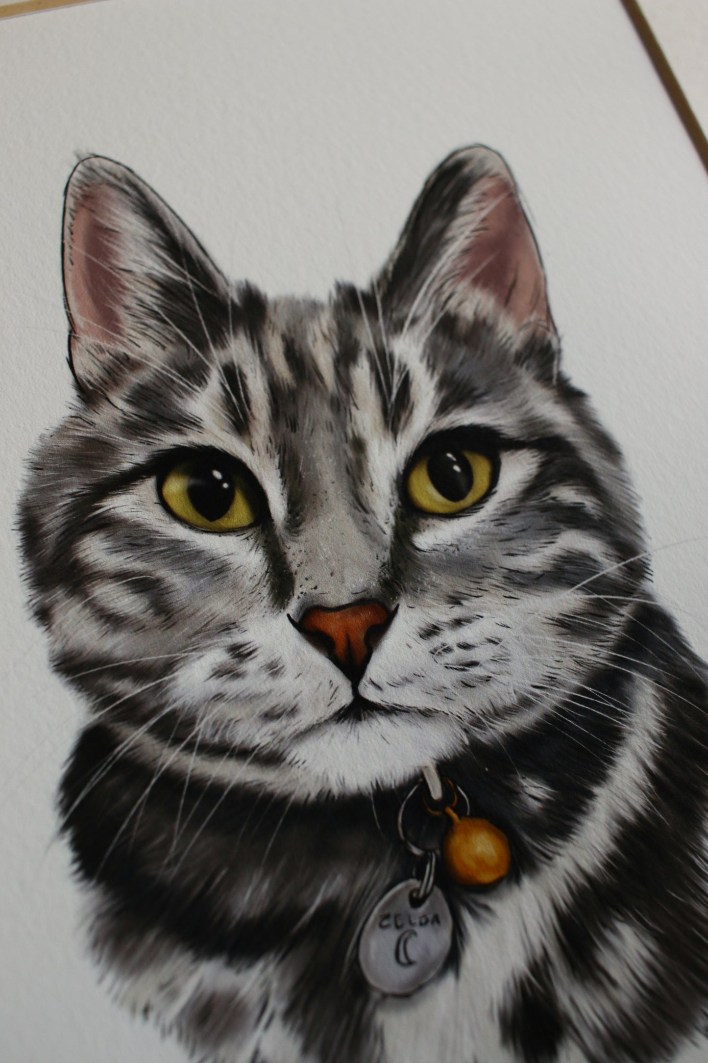 Pet Portrait - 8x10 Digital Painting