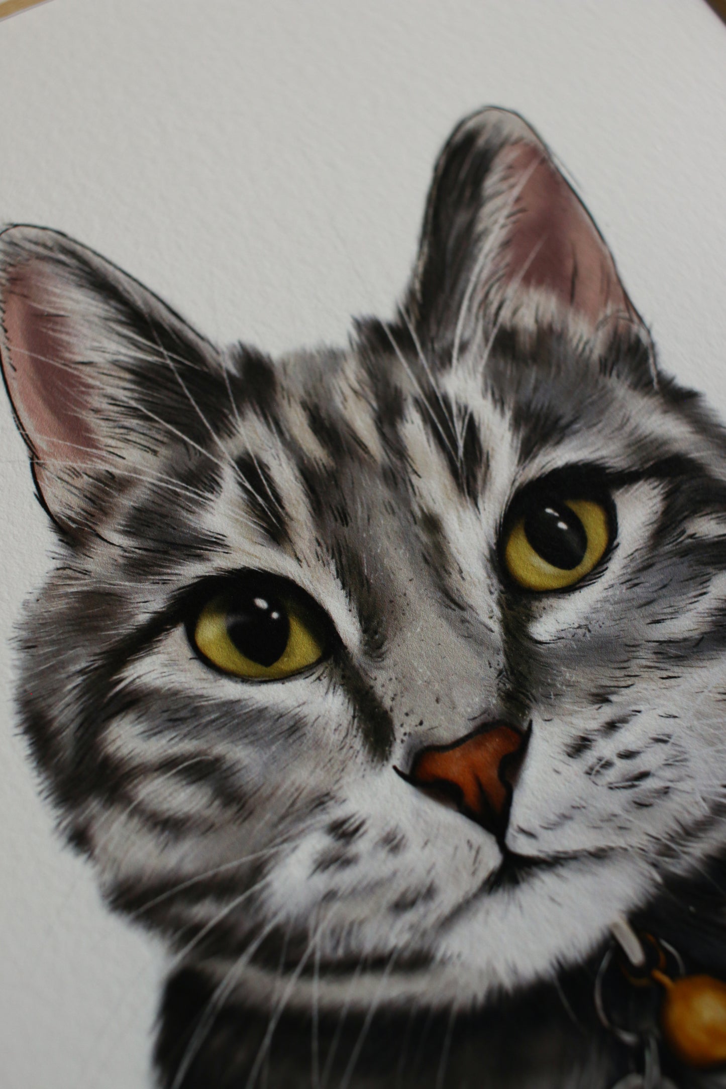 Pet Portrait - 8x10 Digital Painting
