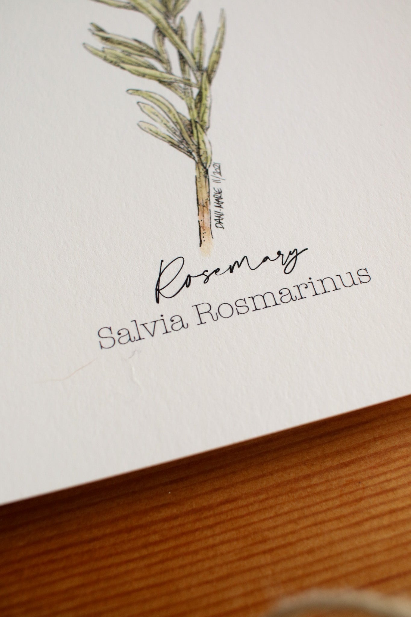 Rosemary