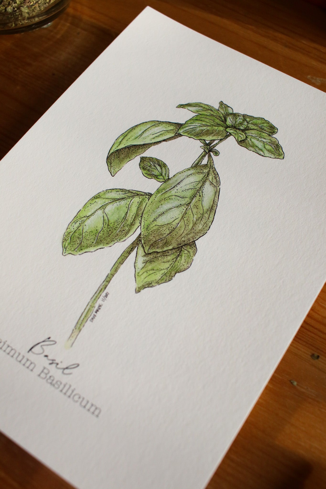Basil