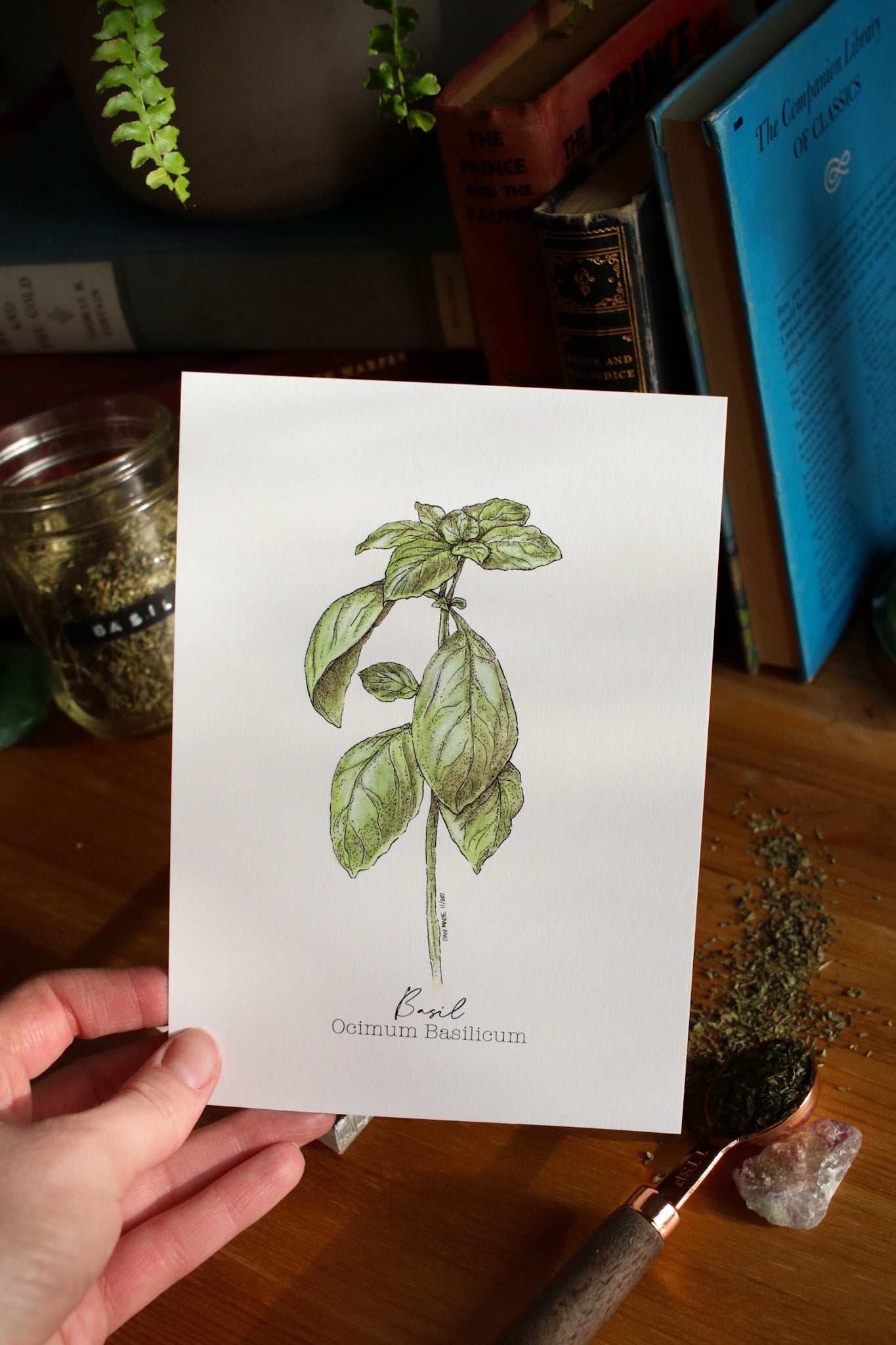 Basil