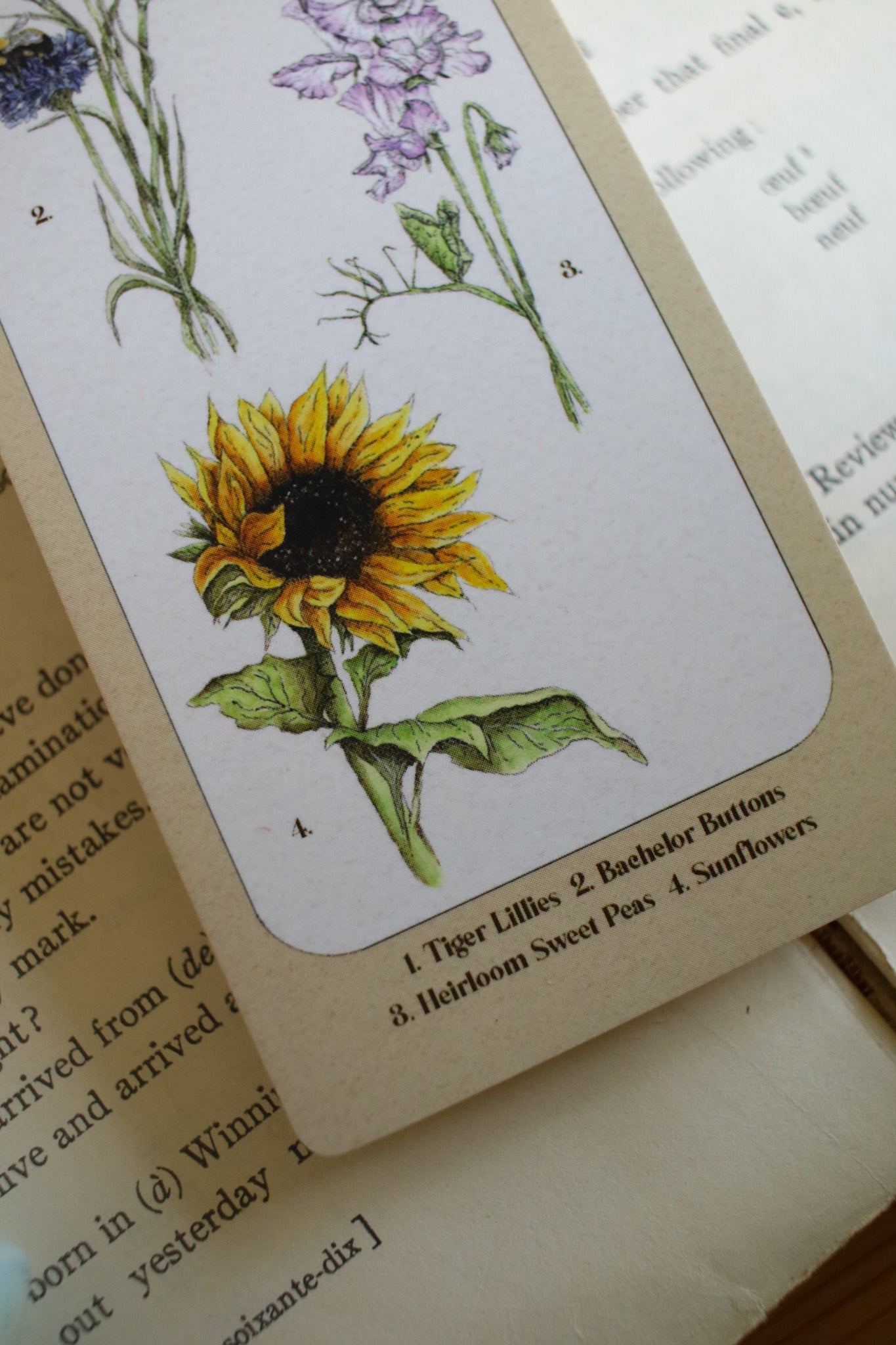 Backyard Flowers Bookmark - Double Sided