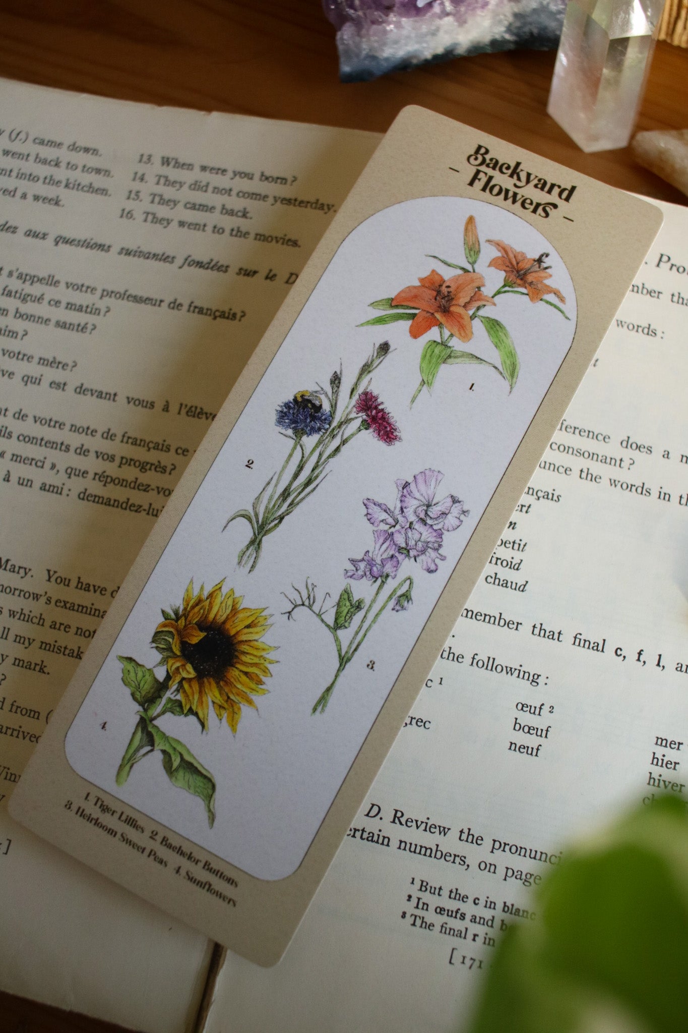 Backyard Flowers Bookmark - Double Sided