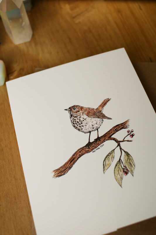 Hermit Thrush - SMALL Greeting Card