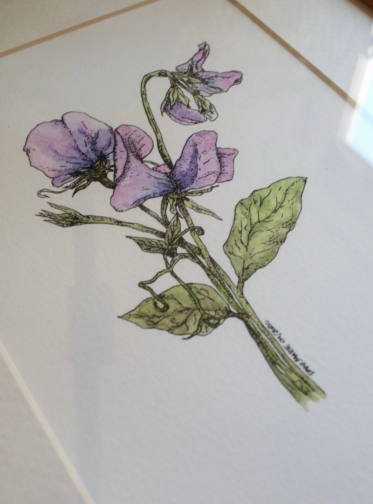 Sweet Sweet Peas