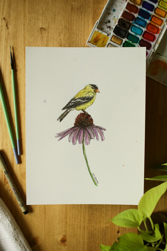 American Gold Finch - Original Watercolour Painting