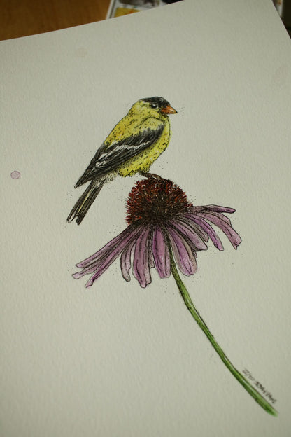 American Gold Finch - Original Watercolour Painting