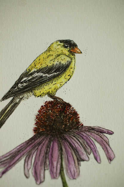 American Gold Finch - Original Watercolour Painting