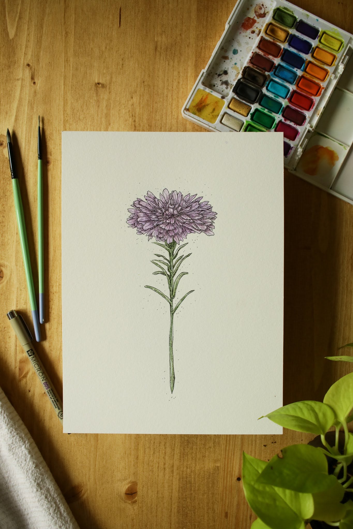 Aster - Original Watercolour Painting