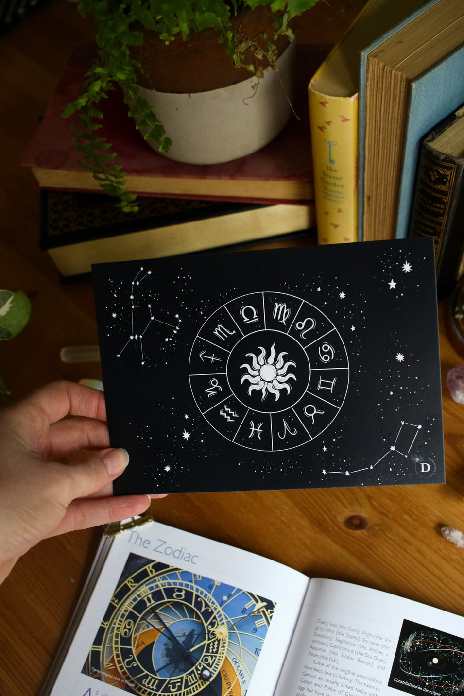 Sagittarius - Astrology Infographic