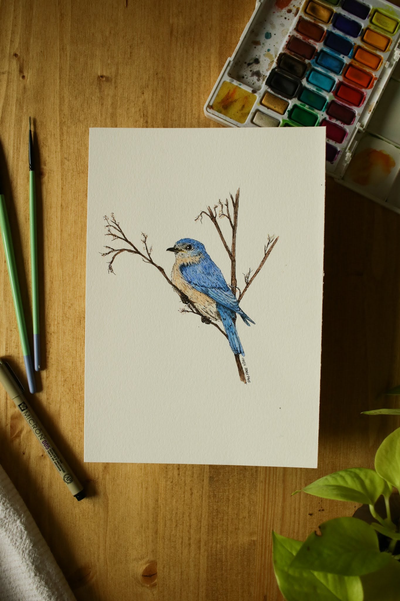 Blue Bird - Original Watercolour Painting