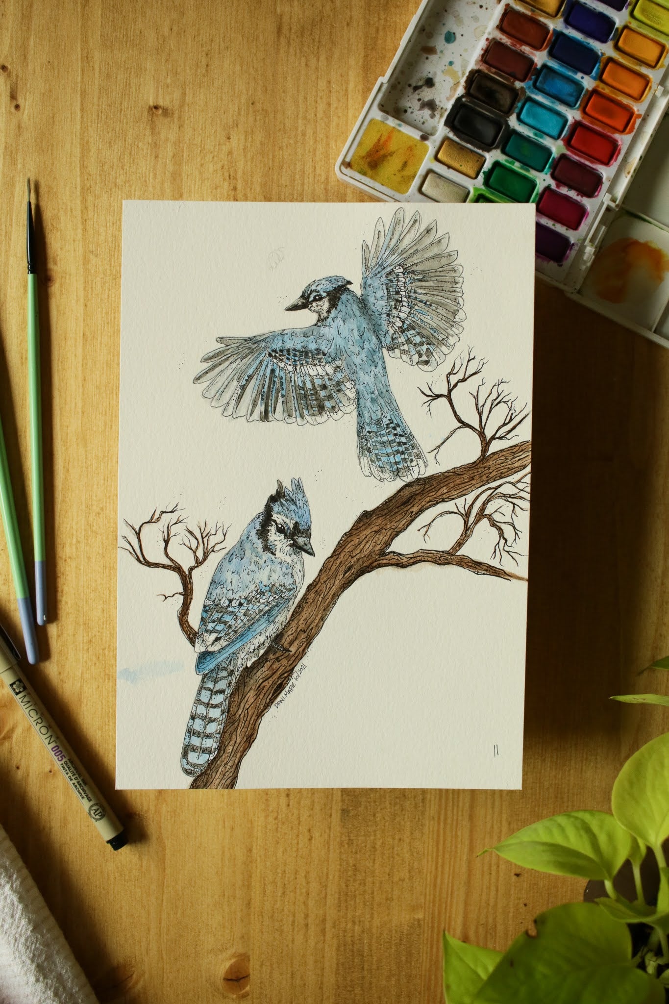 Blue Jays - Original Watercolour Painting