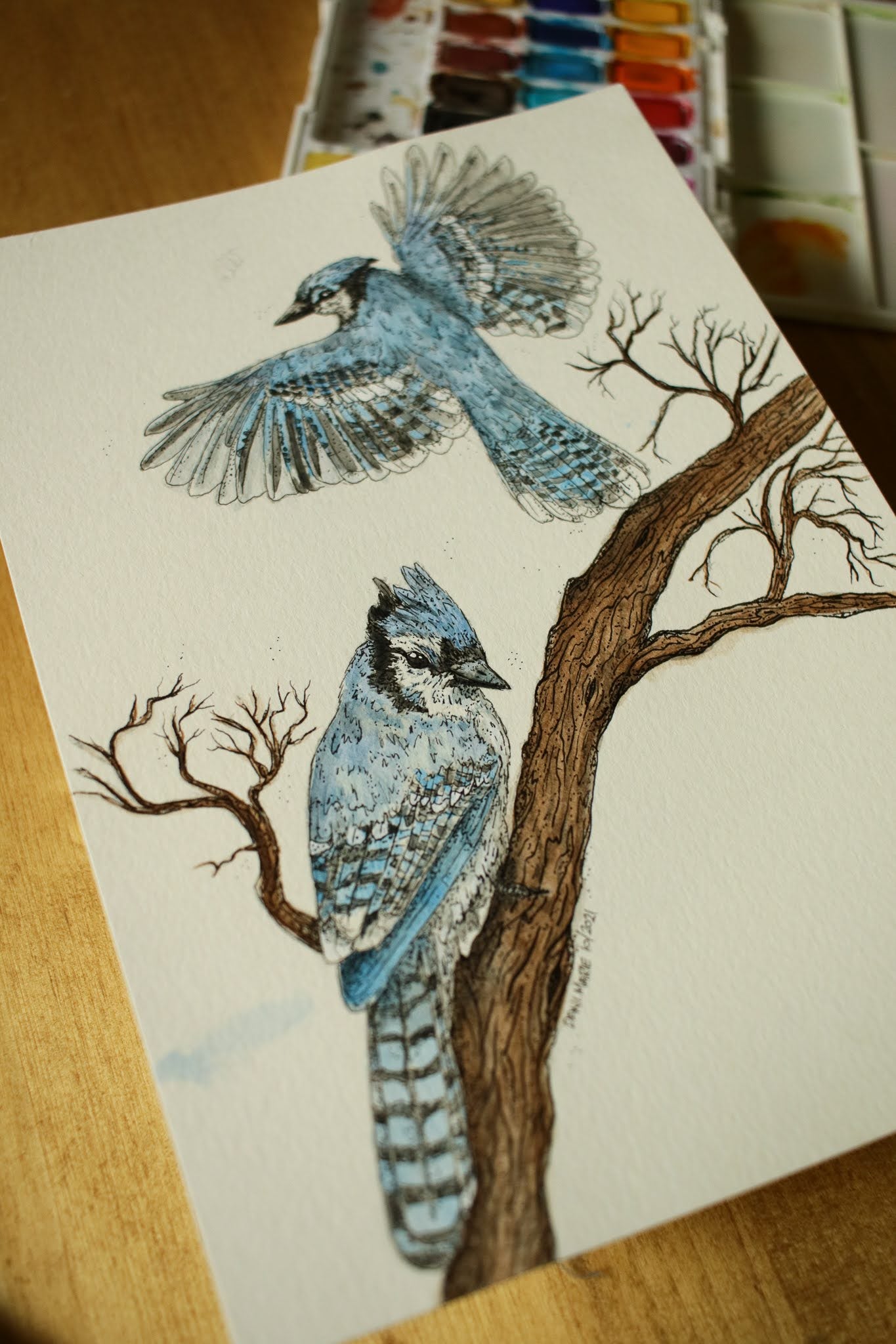 Blue Jays - Original Watercolour Painting