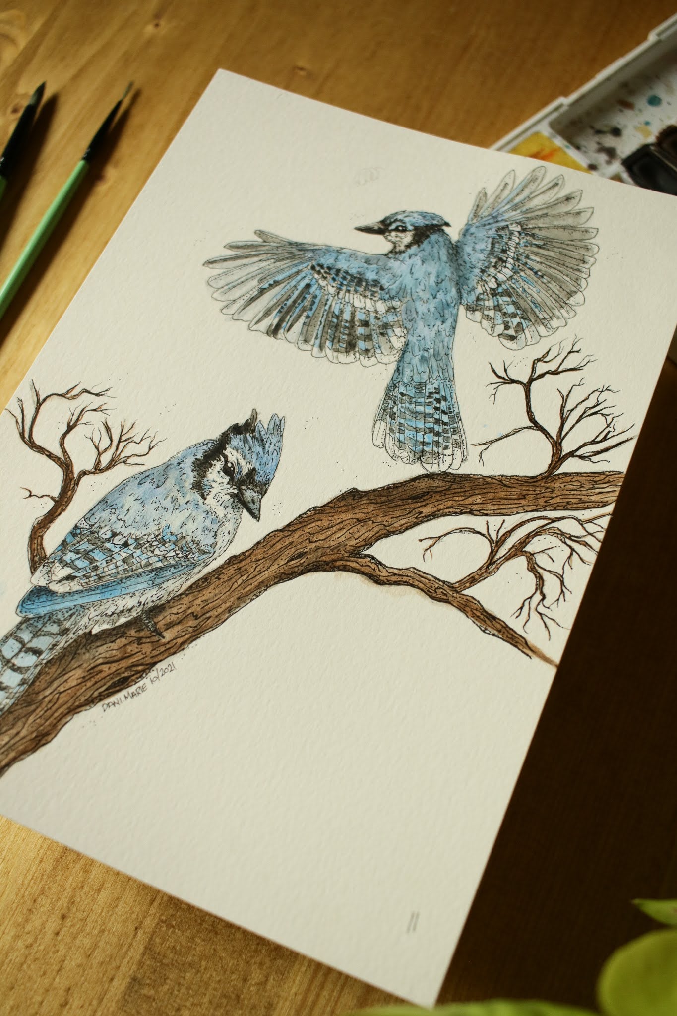 Blue Jays - Original Watercolour Painting