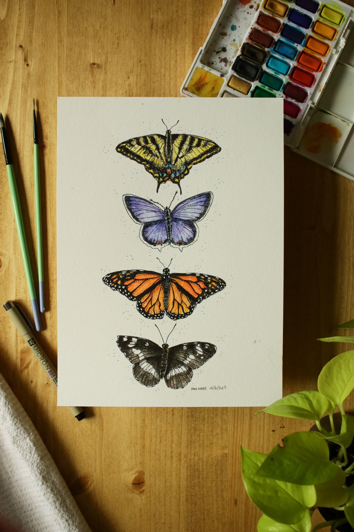 Butterflies - Original Watercolour Painting