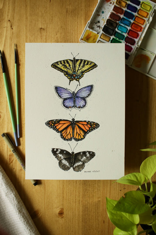 Butterflies - Original Watercolour Painting