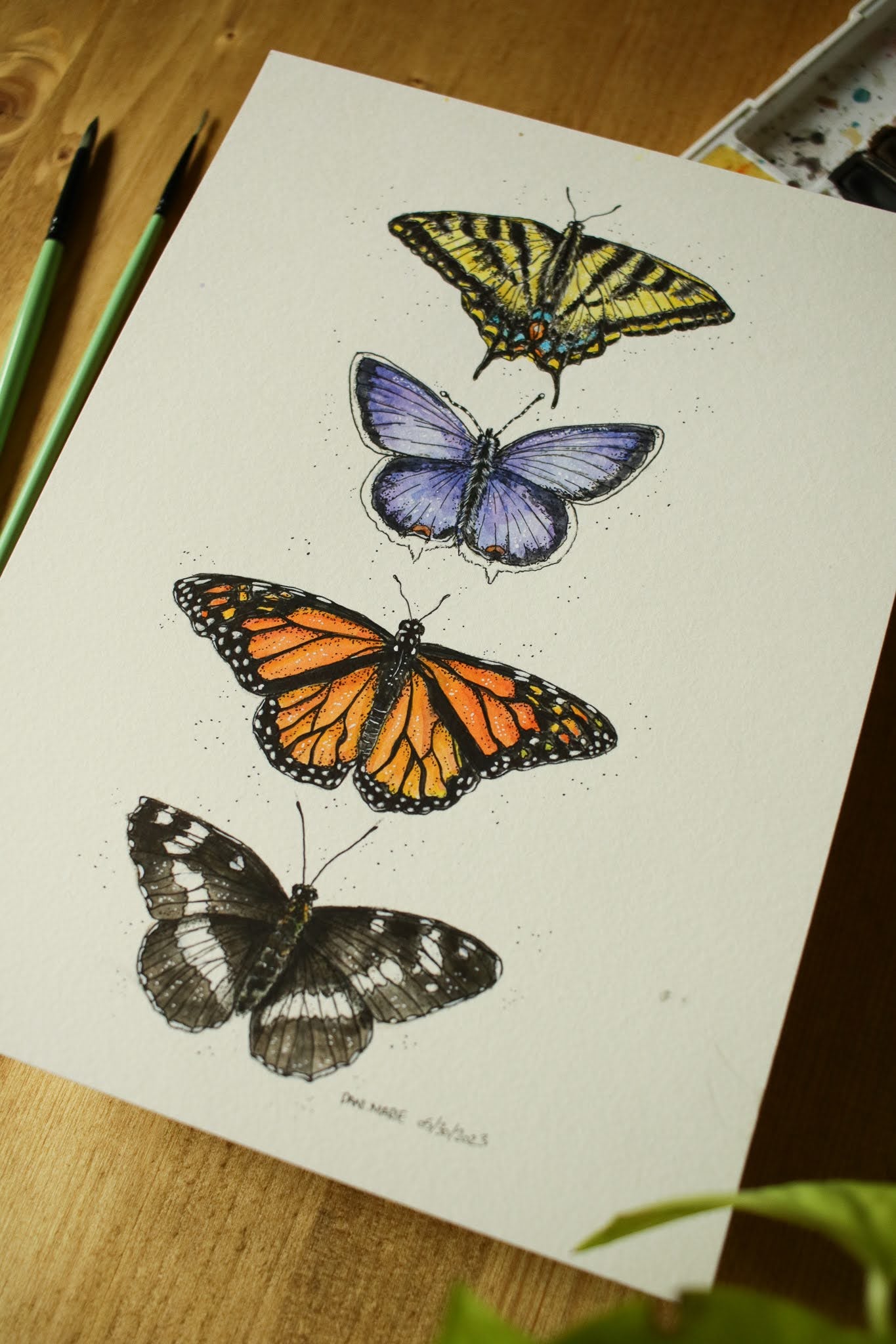 Butterflies - Original Watercolour Painting