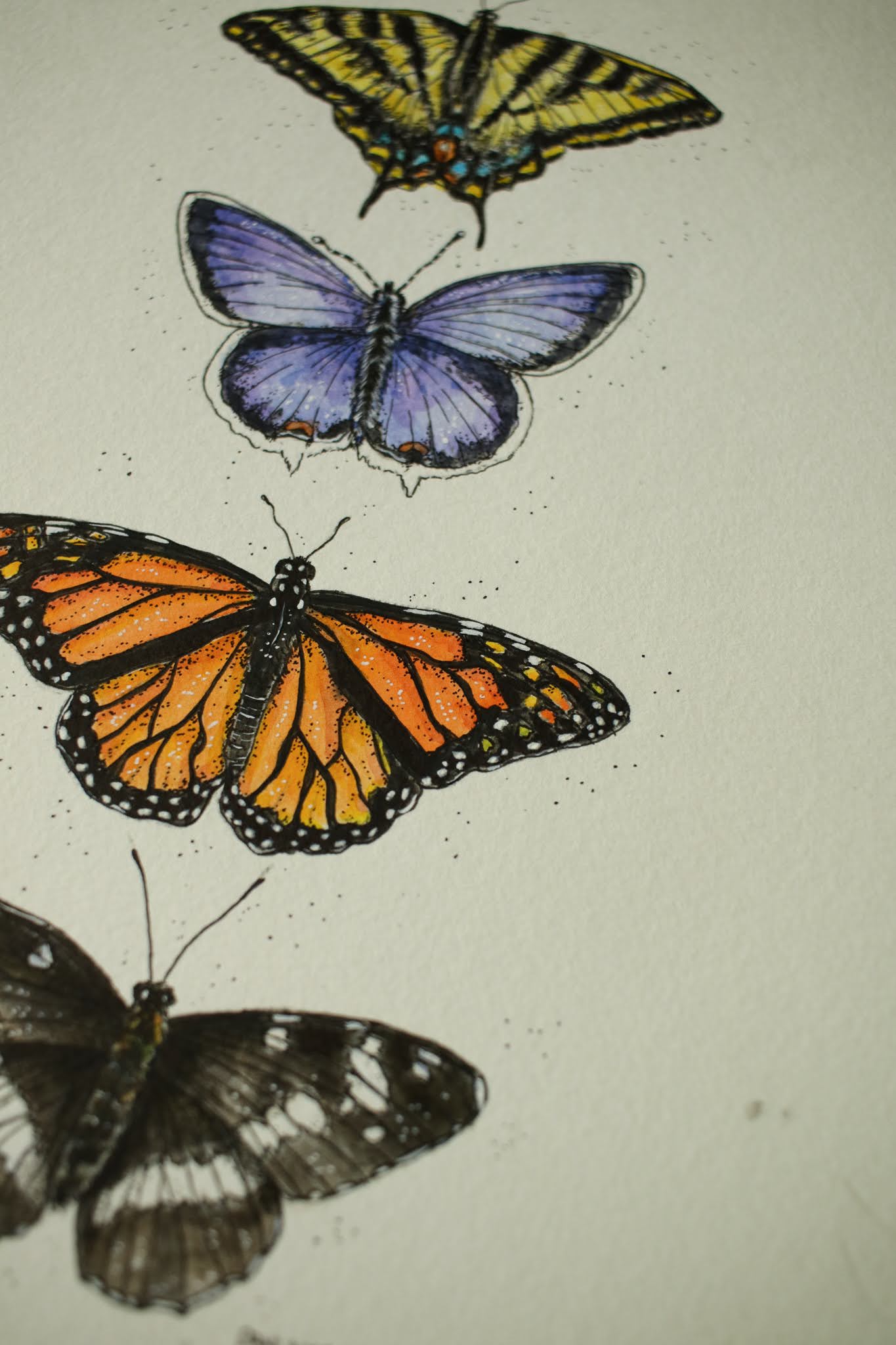 Butterflies - Original Watercolour Painting