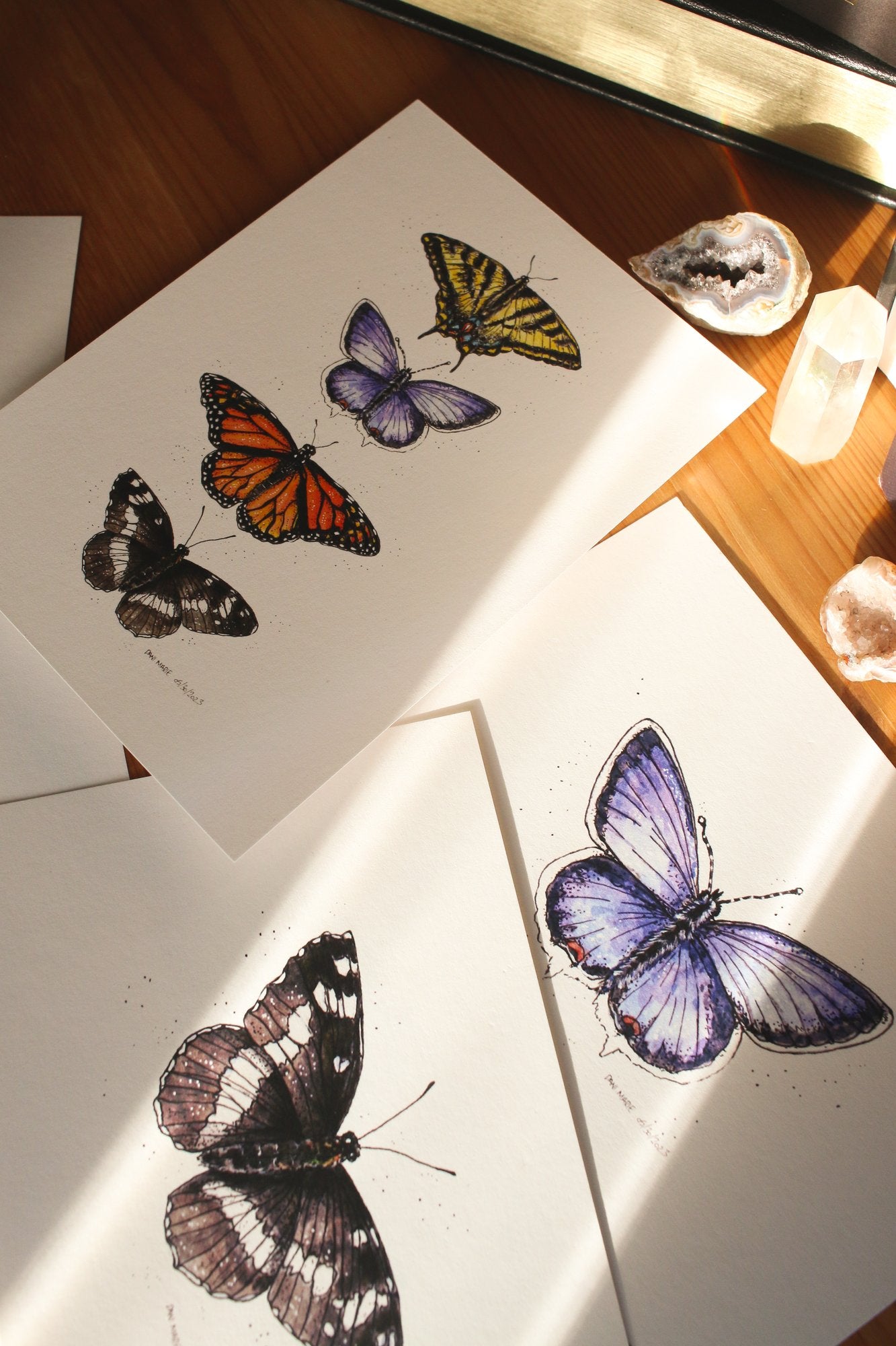 Butterfly art prints, Monarch, White Admiral, yellowtail butterflies painted in watercolour.