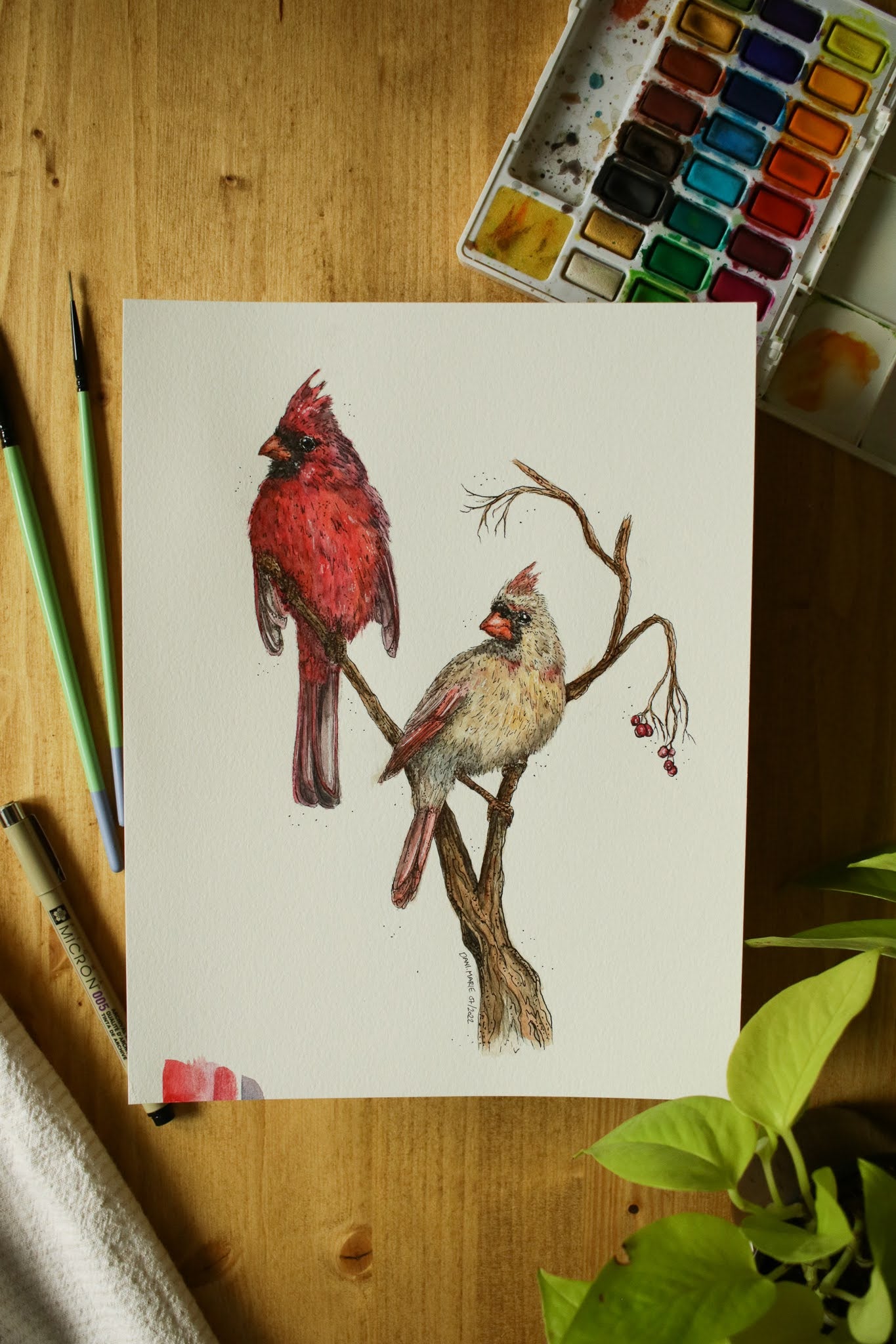 Cardinals 1