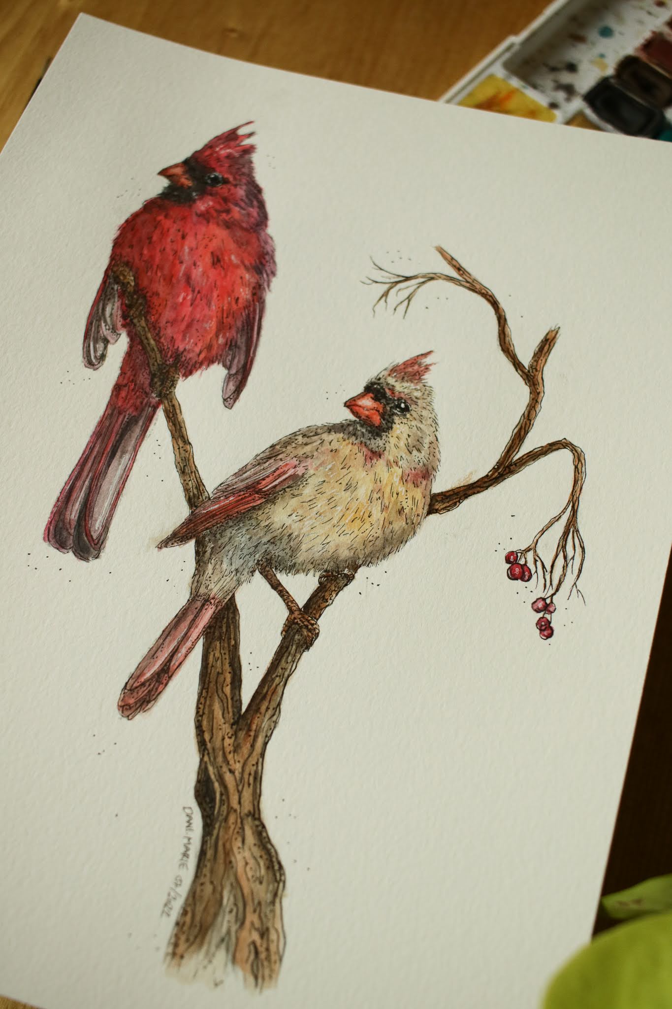 Cardinals (Male + Female) - Original Watercolour Painting