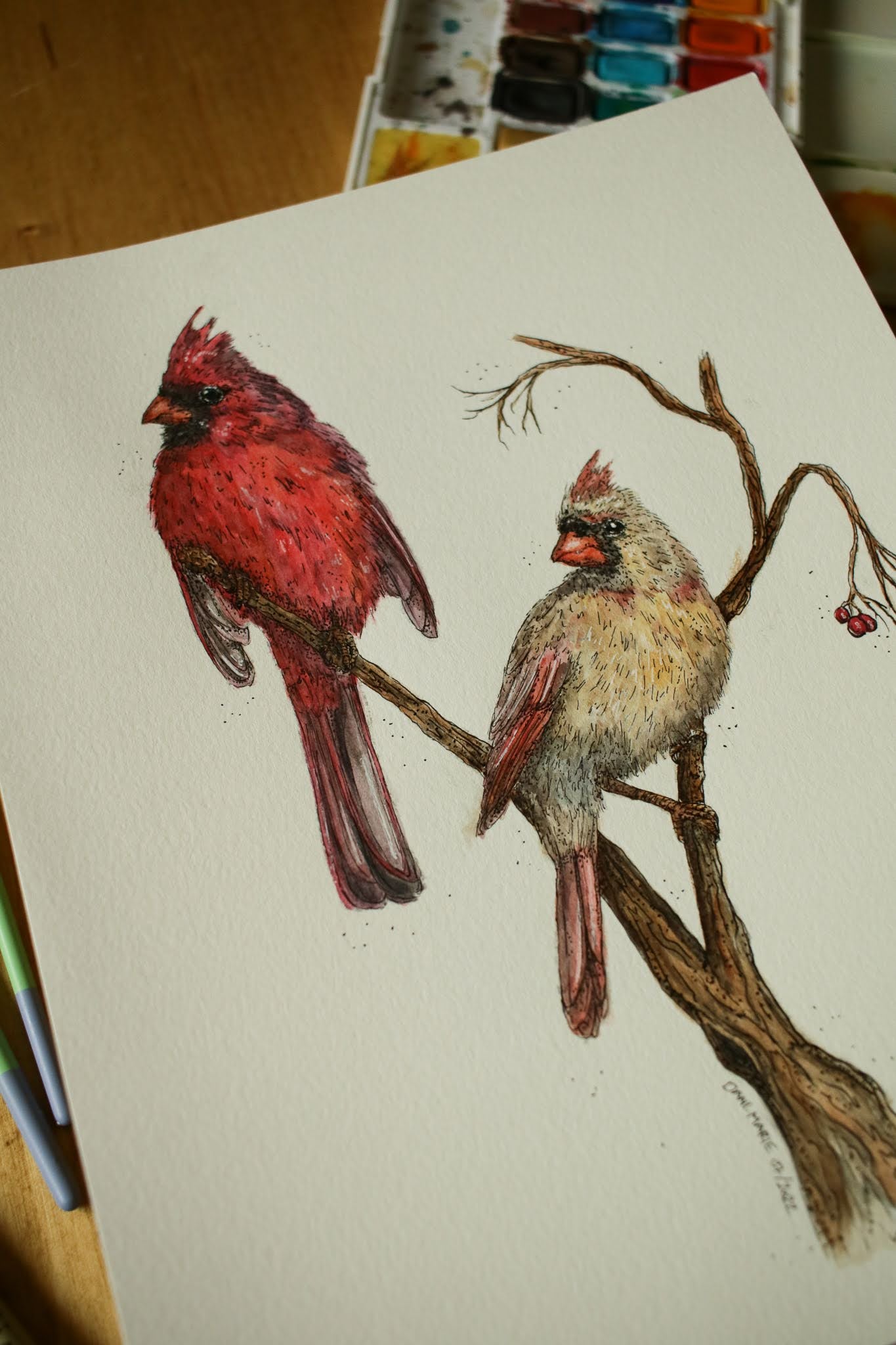 Cardinals (Male + Female) - Original Watercolour Painting