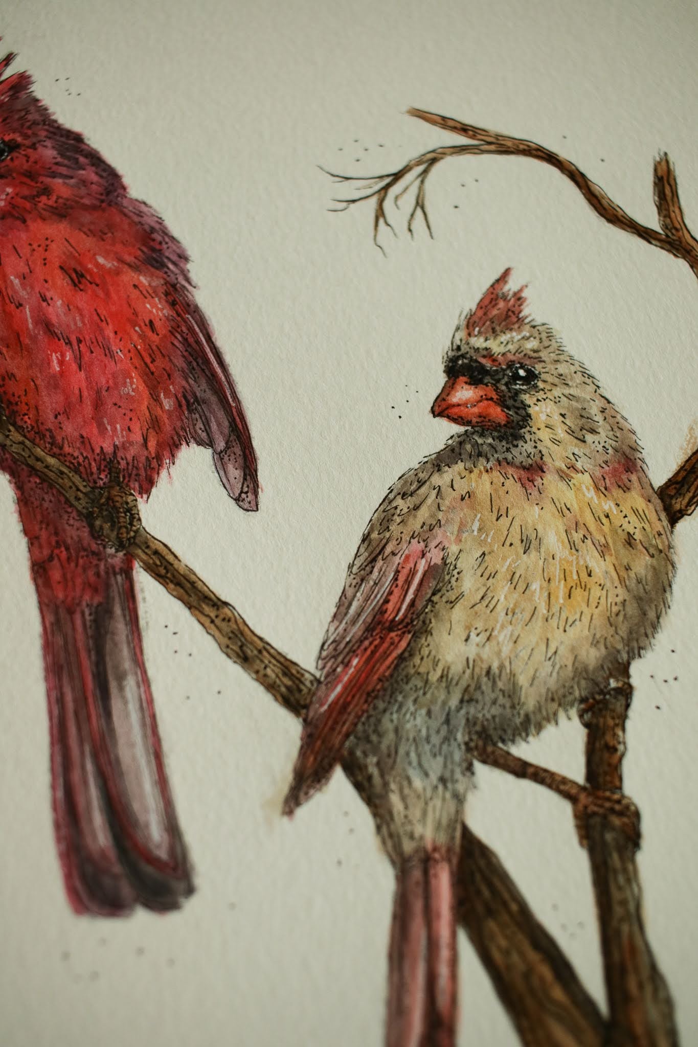 Cardinals (Male + Female) - Original Watercolour Painting