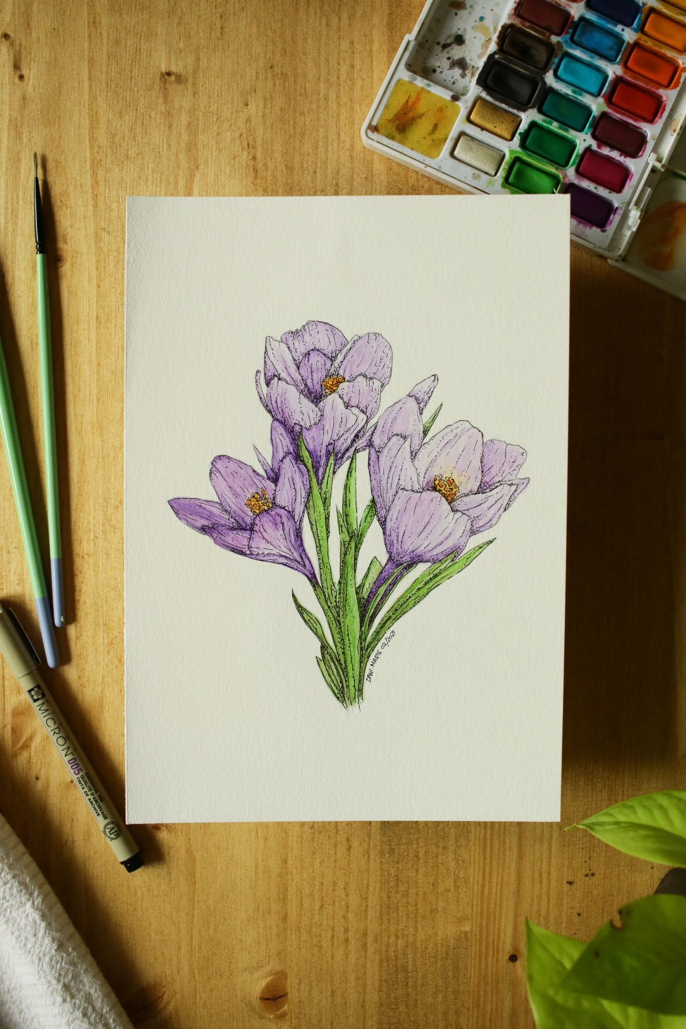 Crocus - Original Watercolour Painting