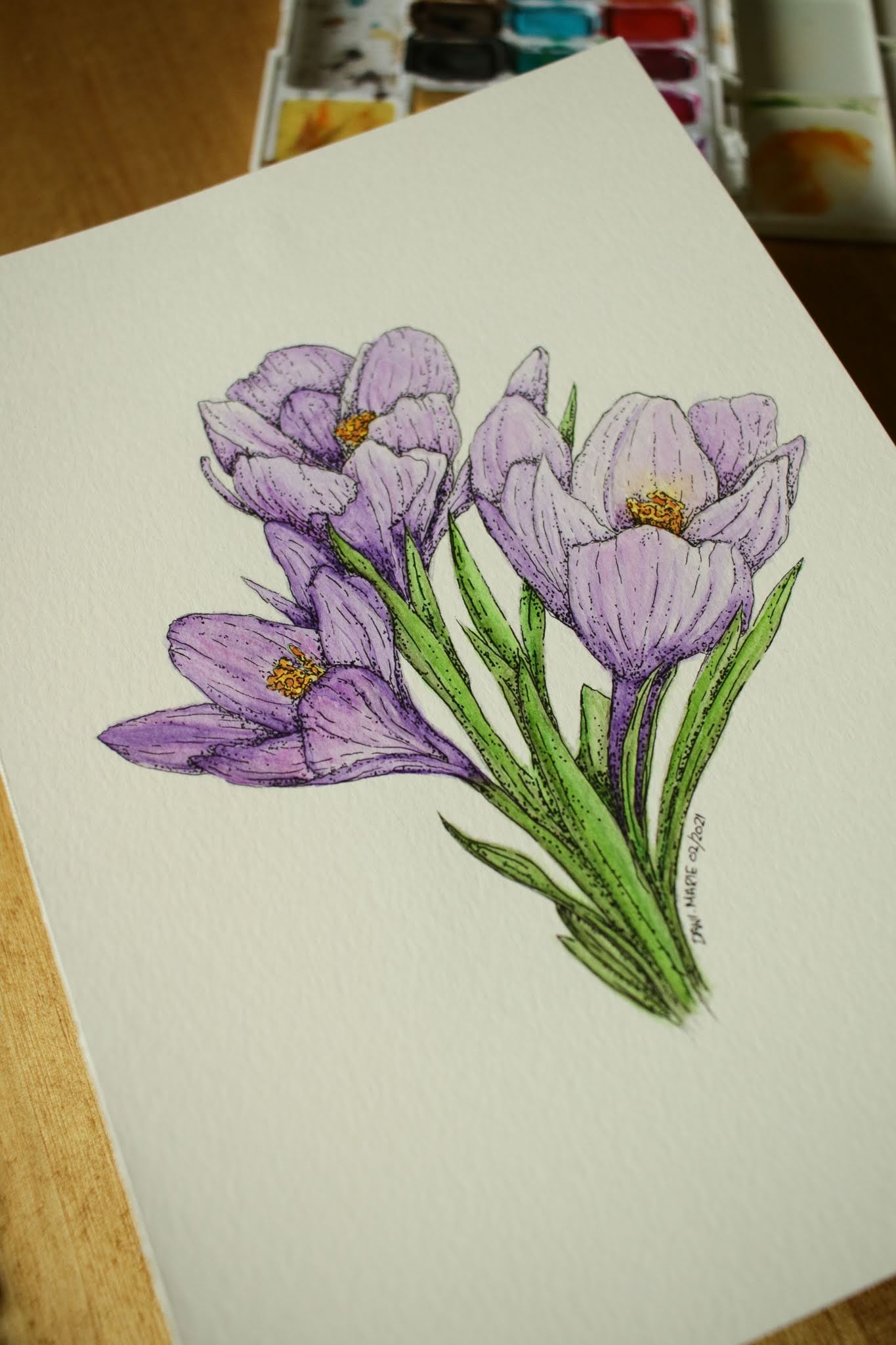 Crocus - Original Watercolour Painting