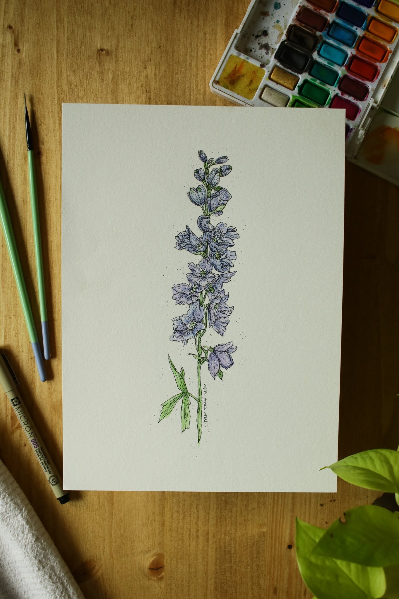 Delphinium - Original Watercolour Painting