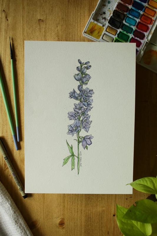 Delphinium - Original Watercolour Painting