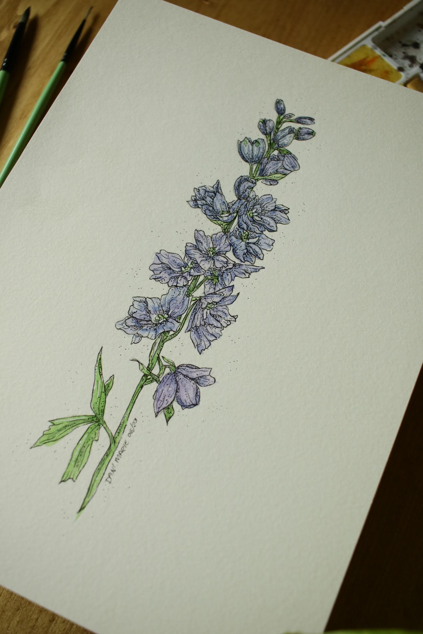 Delphinium - Original Watercolour Painting