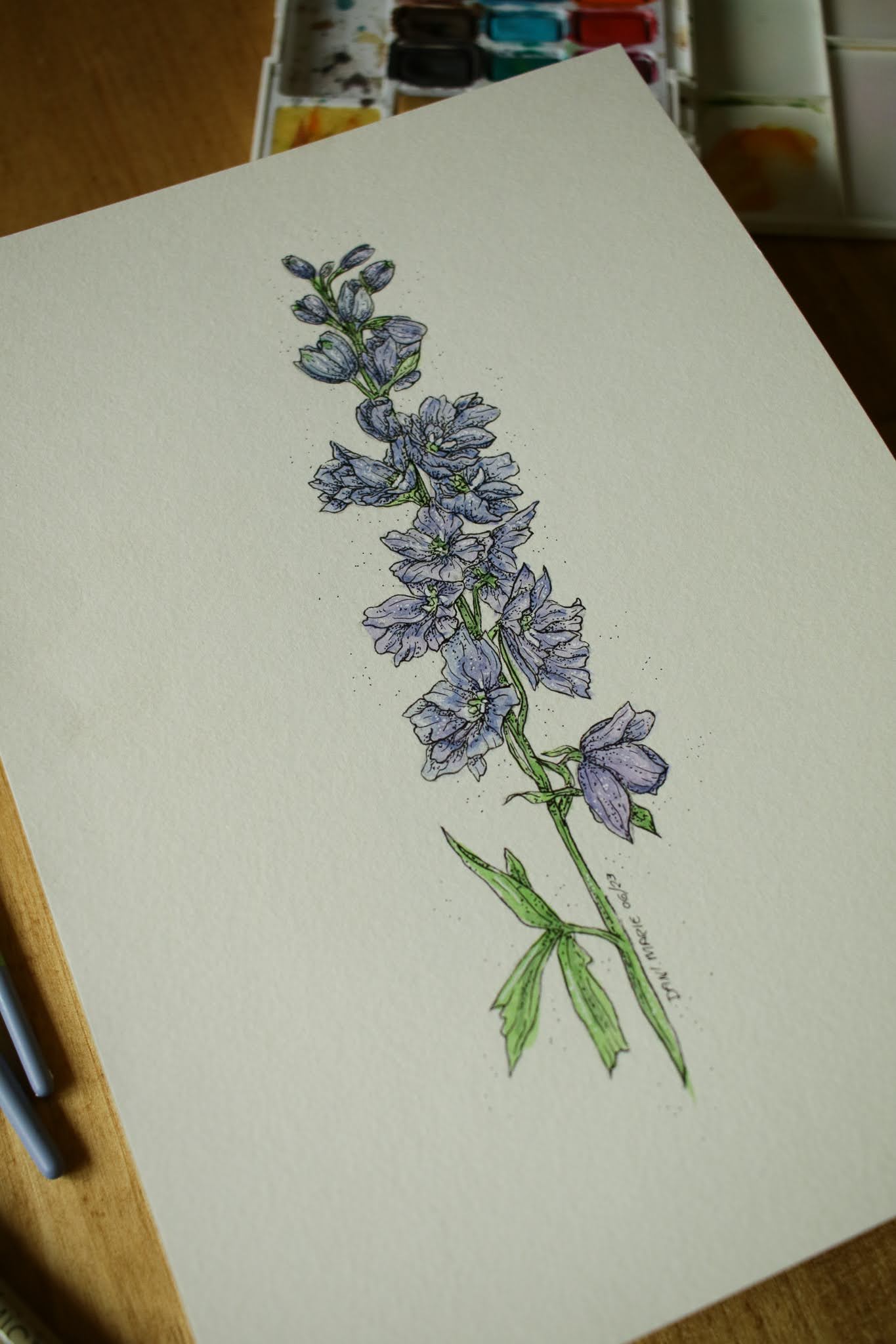 Delphinium - Original Watercolour Painting