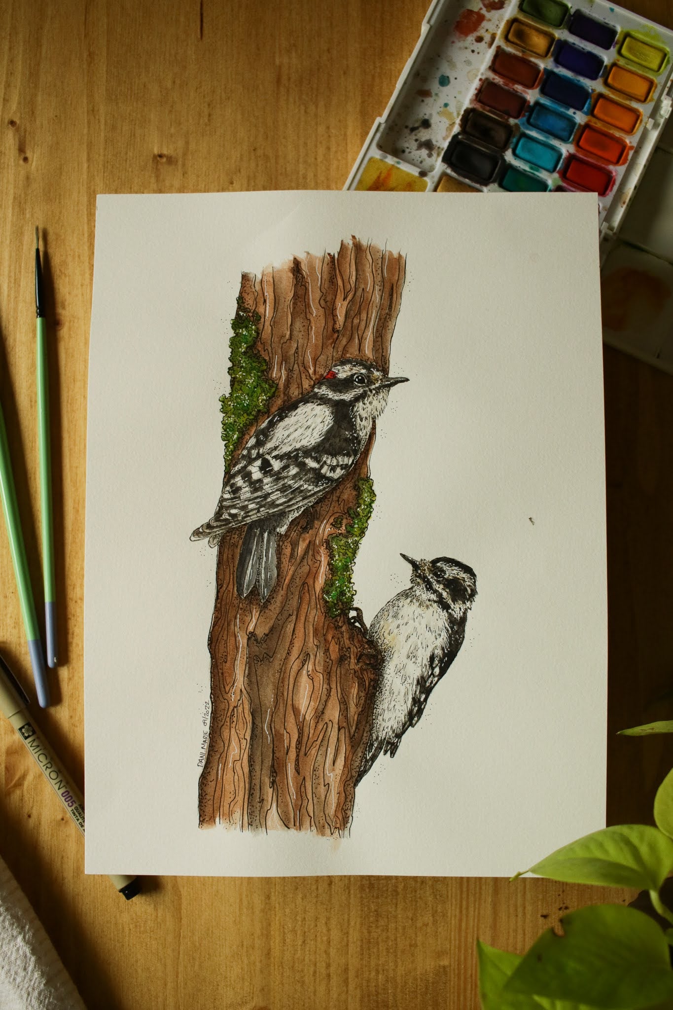 Downy Woodpeckers - Original Watercolour Painting