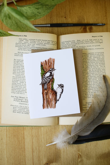 Downy Woodpecker - SMALL Greeting Card